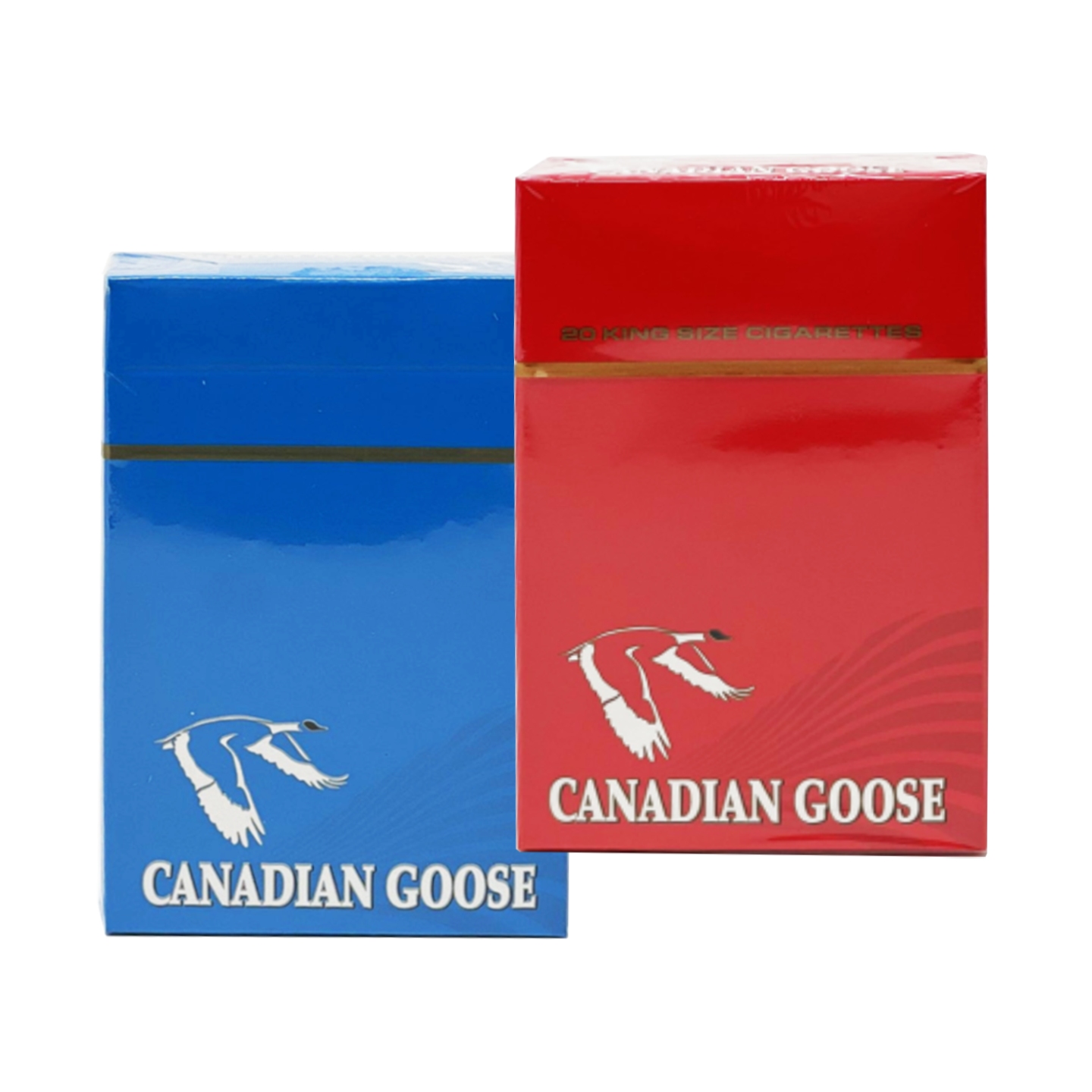 canadian-goose-1.jpg