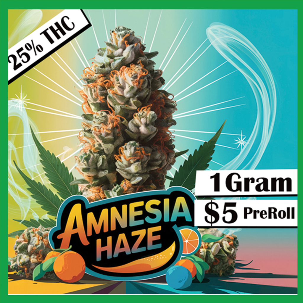 189-Pink-Amnesia-1.jpg