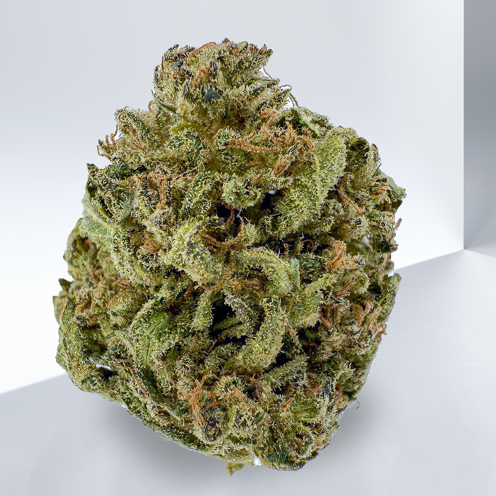 244-BLUE-DREAM-SATIVA.jpg