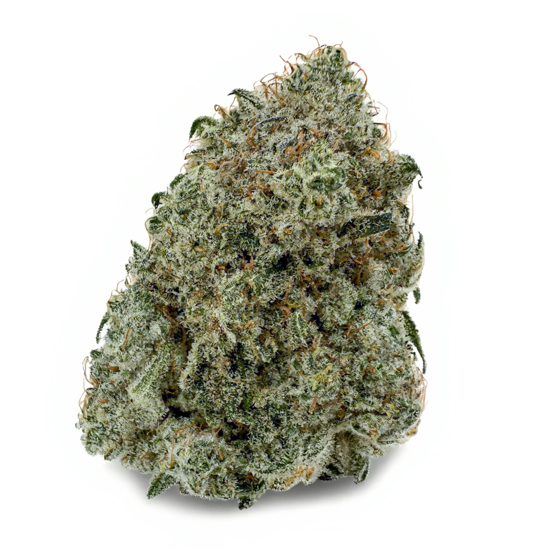 360-WHITE-CHAMPAGNE-KUSH.jpg