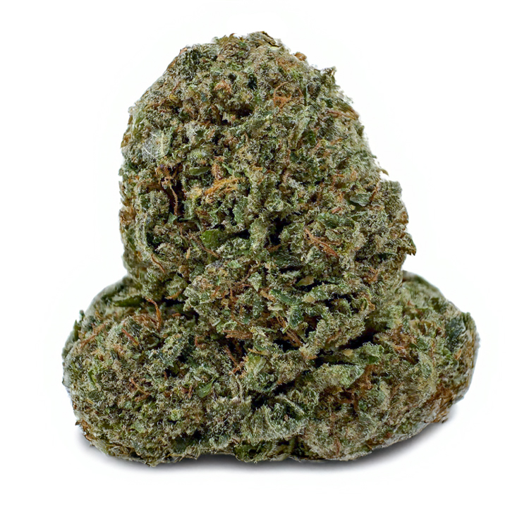 365-KOSHER-KUSH.jpg