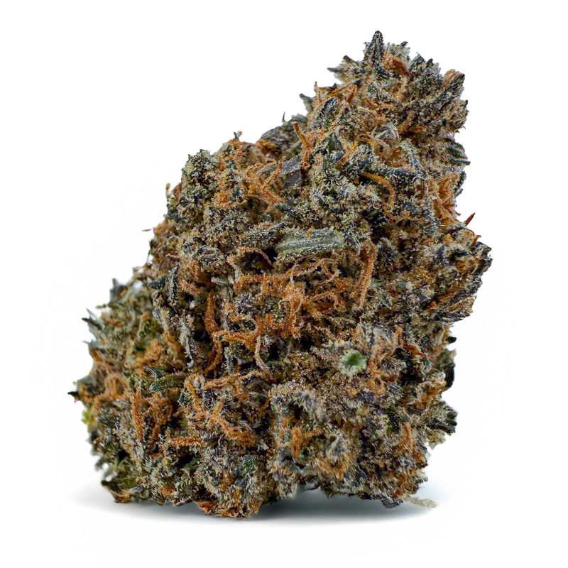 325-PURPLE-RUNTZ-99112-38lbs.jpg